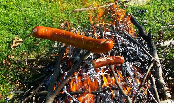 hotdog roast
