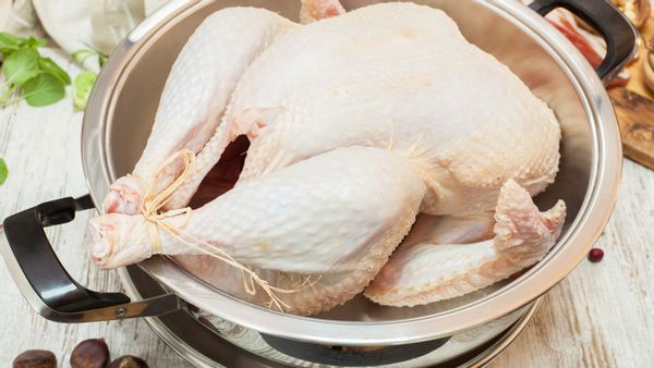 turkey cooking thanksgiving child
