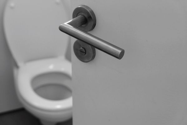 Handle, Toilet, Bathroom