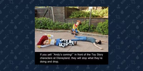 andy's coming