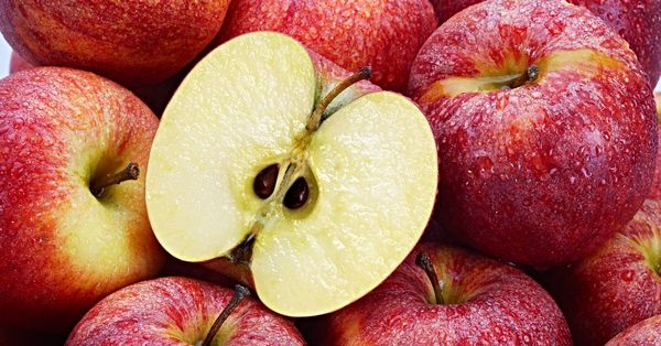 apple seeds