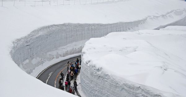 Tateyama Snow Corridor