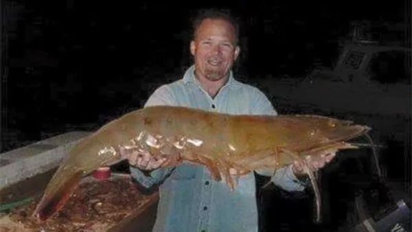 shrimp crock tale