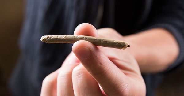 Hand holding joint.