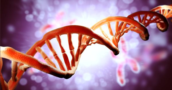 DNA