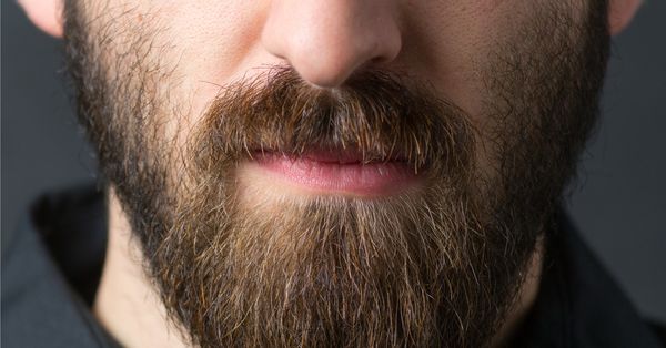 Close up of a bearded man