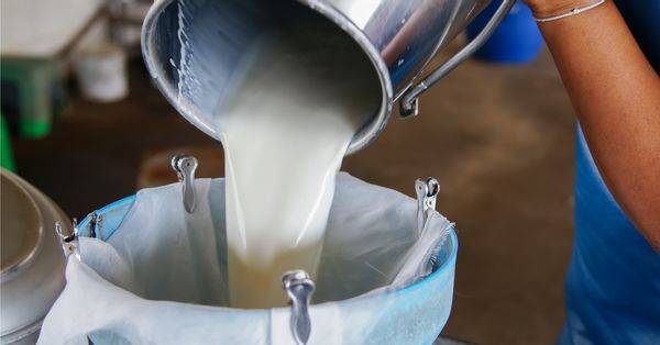 Raw milk
