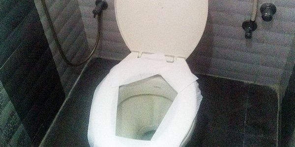toilet seat