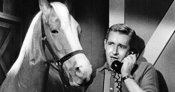 Mr. Ed