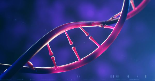 An artists' conception of a strand of DNA.