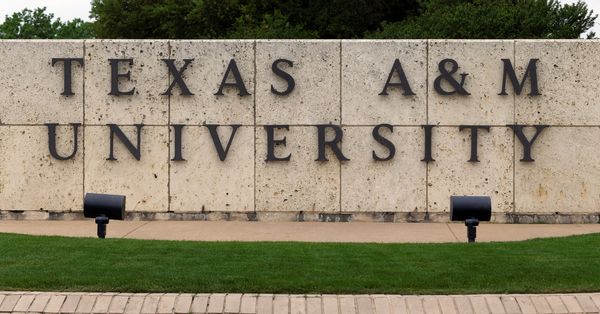 Texas A&M University