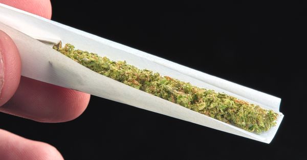Does Marijuana Contain More Tar Than Cigarettes?