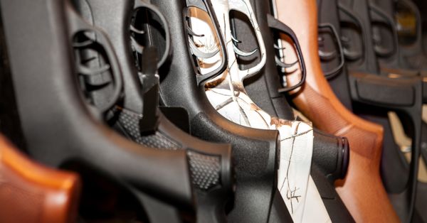 Close-up of gun grips.
