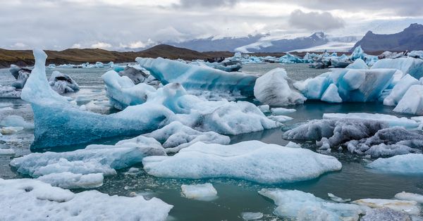 Ice floes in an ocean