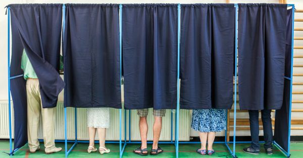 Voters standing in booths