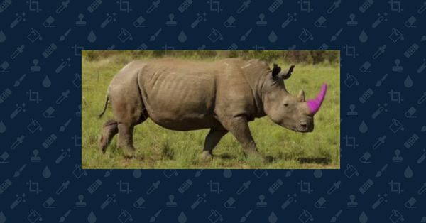 Photoshopped image of rhino with a pink horn