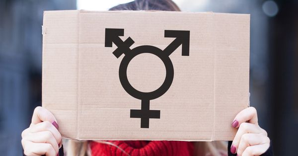 Hands holding a sign with a transgender logo.