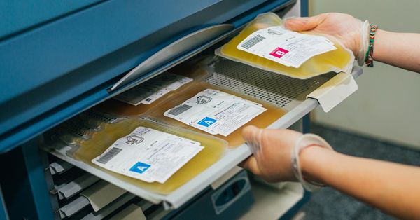 Blood plasma.