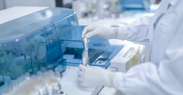 Lab, Human, Person