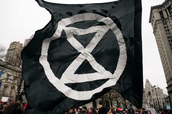 extinction rebellion stickers