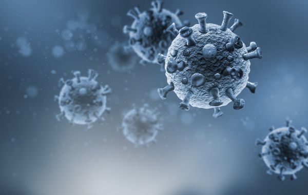 COVID-19 virus