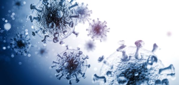 COVID-19 virus