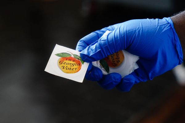 georgia vote
