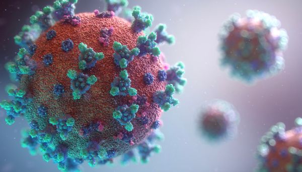 COVID-19 virus