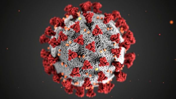 COVID-19 virus