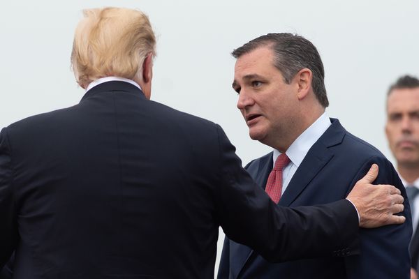 trump claimed ted cruz dependent
