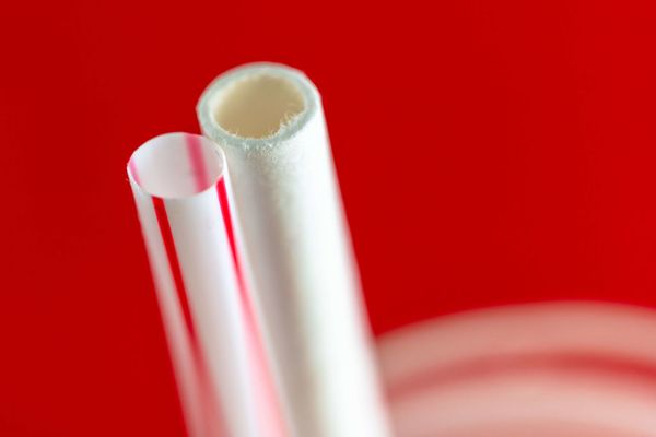 paper straw gluten