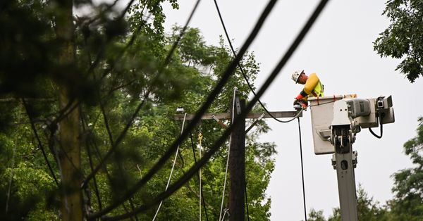 Utility Pole, Person, Human