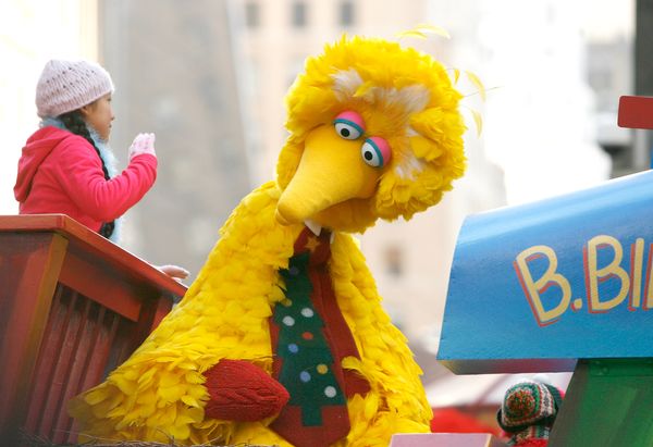 bird bird colors cousins family little garibaldo poupas Minik Kuş pino abelardo sesame street colored yellow orange blue red green pink