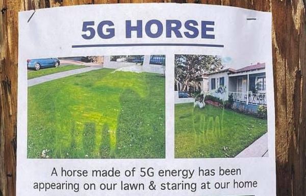 5G horse