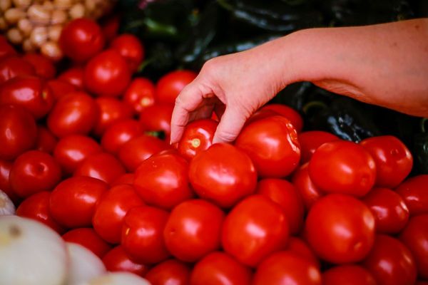 are tomatoes fruit or vegetable