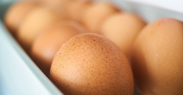 eggs shouldnt be refrigerated dr health magazine refrigerator salmonella fda