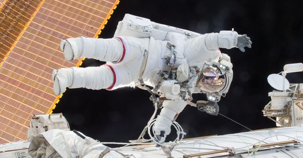 Person, Human, Astronaut