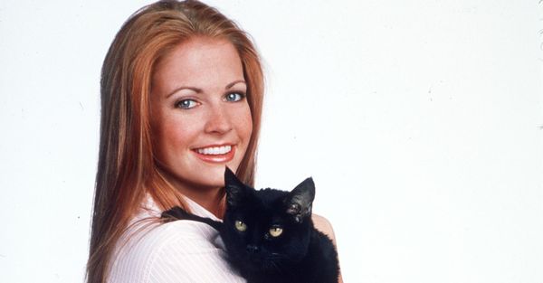 Person, Human, Black Cat