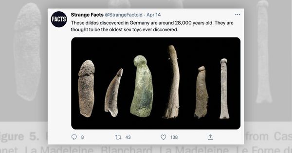 Soil, Archaeology, Fossil