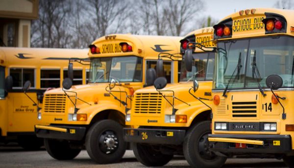 Bus, Vehicle, Transportation