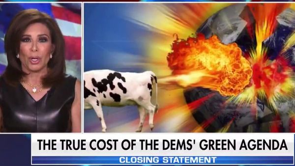 Do cow farts cause global warming