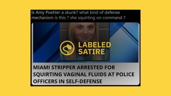 A piece of satire went viral because an image of this alleged stripper resembled actress Amy Poehler.