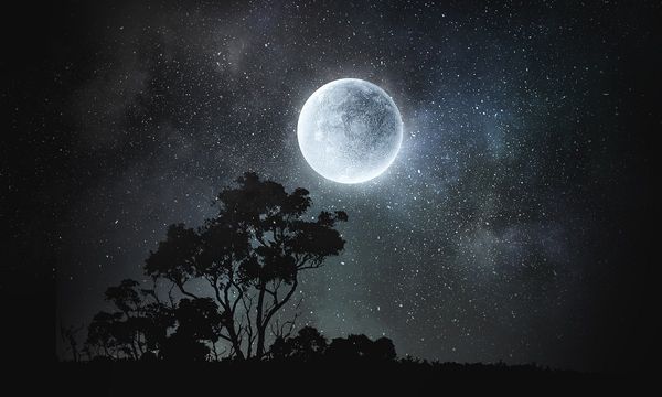 Full moon in sky