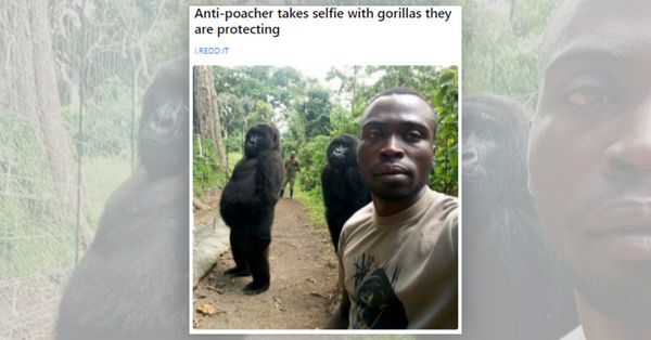 The picture has been around since 2019 and has gone viral multiple times since its original publication.