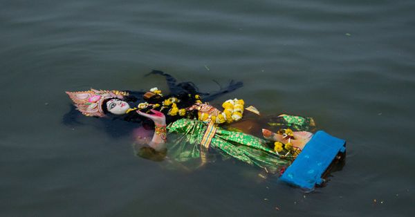 Water, Animal, Clothing