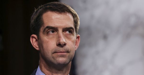 Senator Tom Cotton