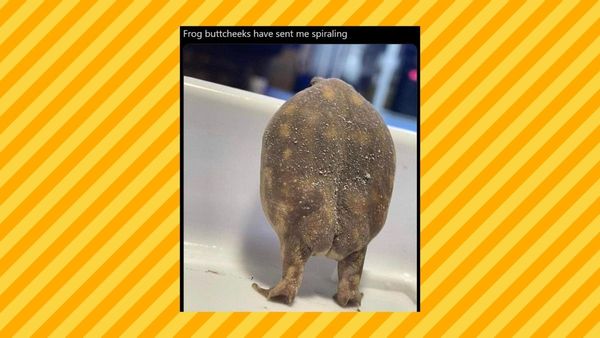 Frog buttcheeks