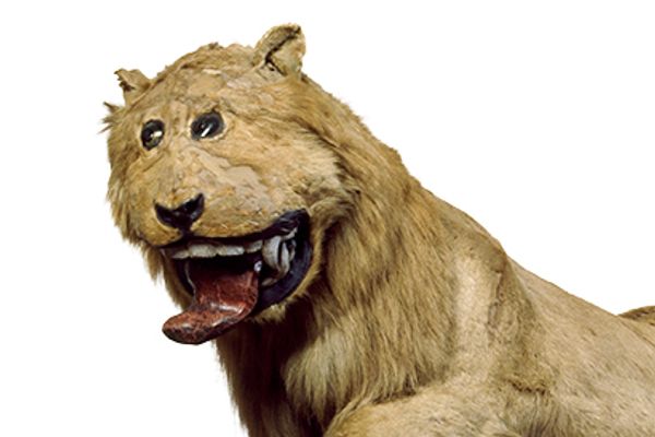 Lion of Gripsholm