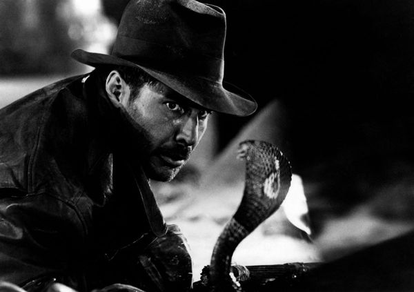Indiana Jones snakes