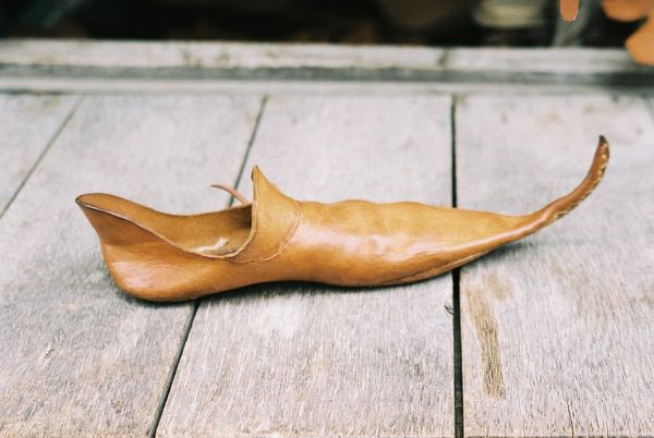 pointy shoe